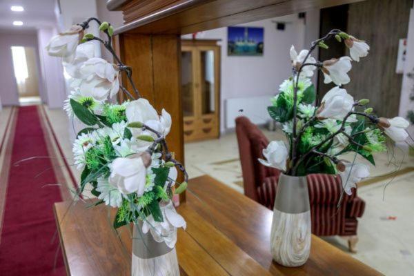 Hotel Borjomi Aisi Dış mekan fotoğraf